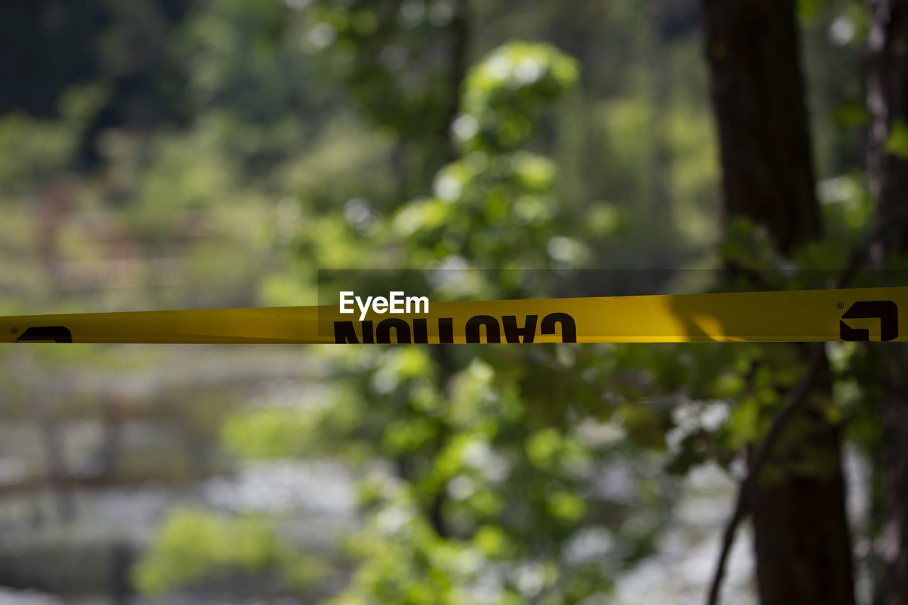 yellow, text, communication, sign, tree, green, focus on foreground, nature, western script, no people, cordon tape, sunlight, plant, outdoors, day, warning sign, guidance, leaf, crime scene, screenshot, forest