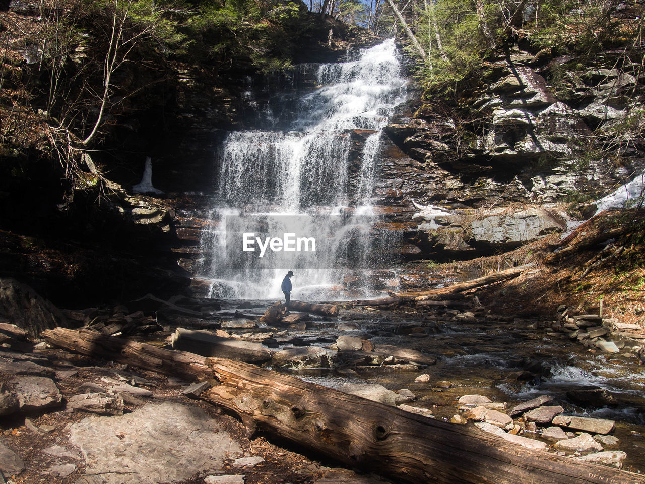 WATERFALL IN FOREST