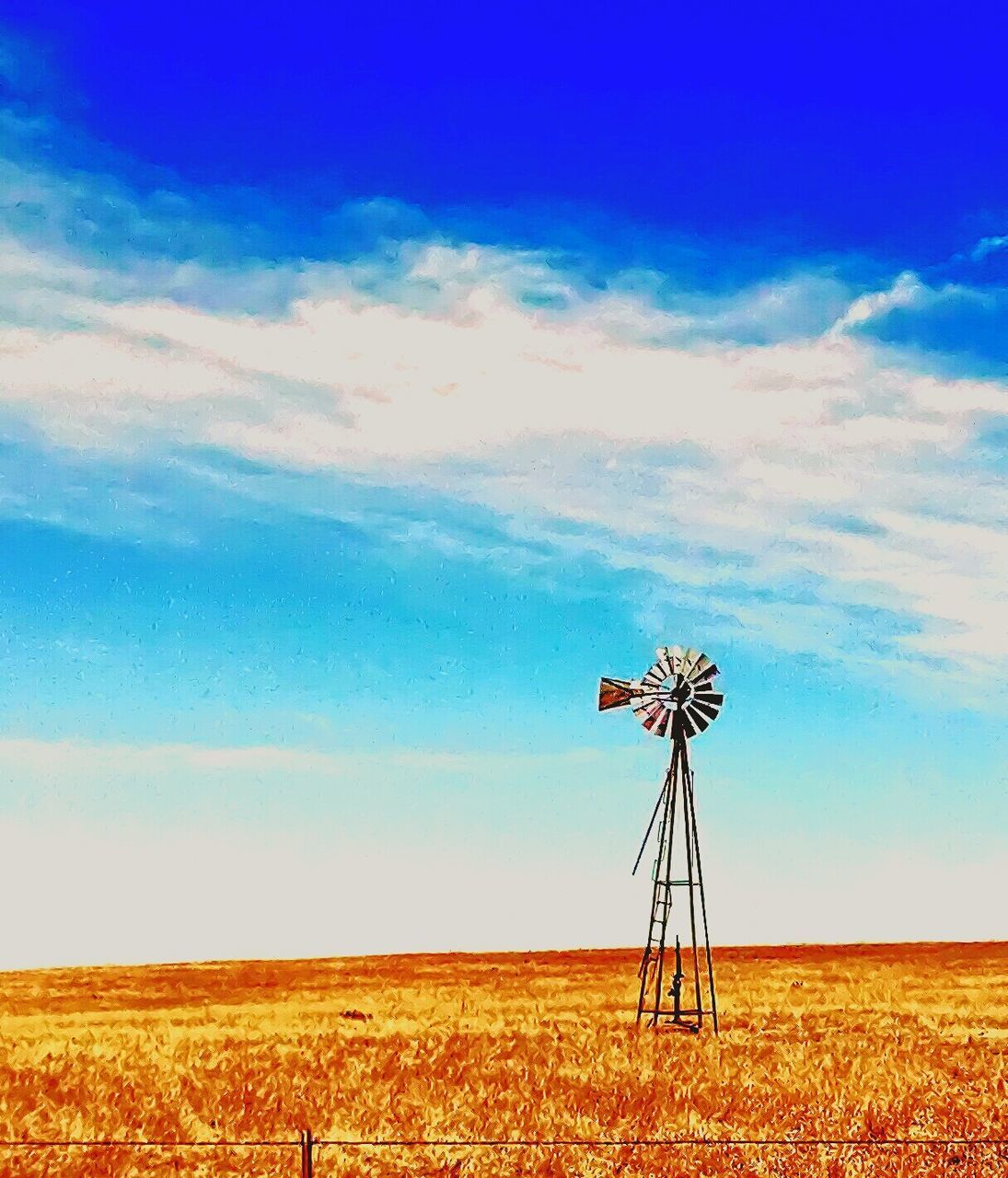 SCENIC VIEW OF RURAL LANDSCAPE