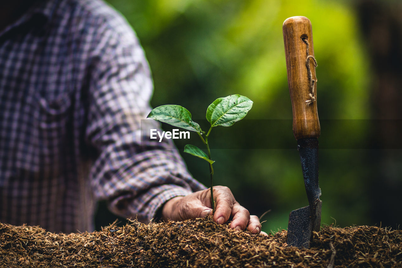 Midsection of man planting plant in garden