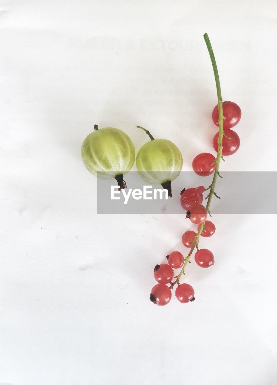 CLOSE-UP OF CHERRIES AGAINST WHITE BACKGROUND