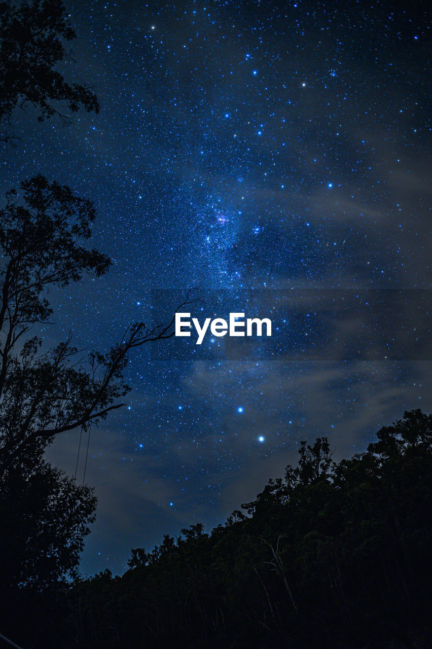 Low angle view of silhouette trees against sky at night