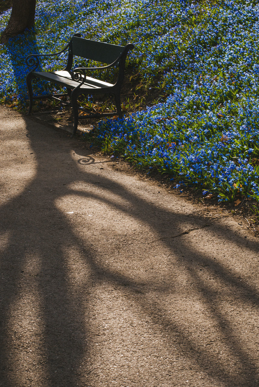 CHAIRS IN SUNLIGHT