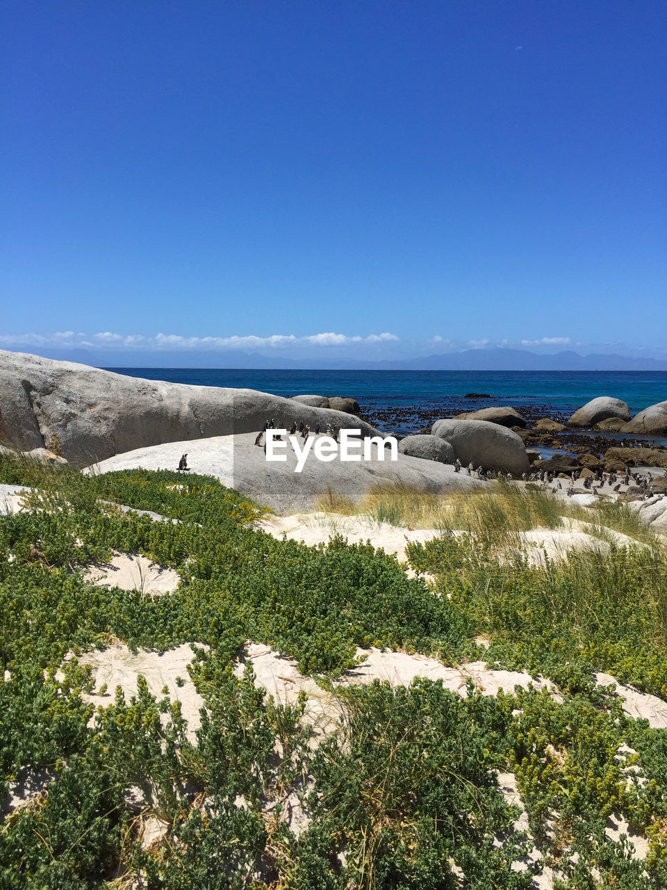 Scenic view of sea against clear blue sky