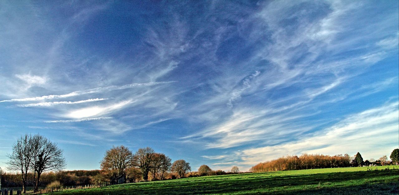 Scenic view of grassy field against cloudy sky