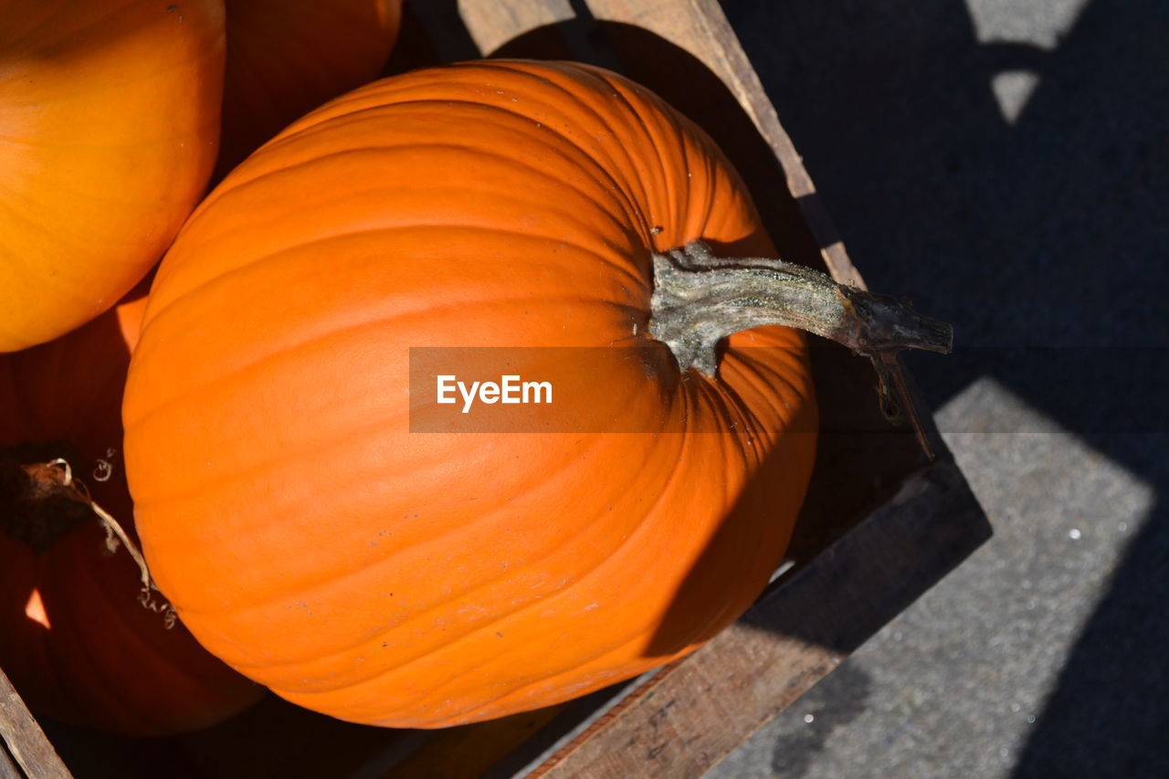 Close-up of pumpkin at market