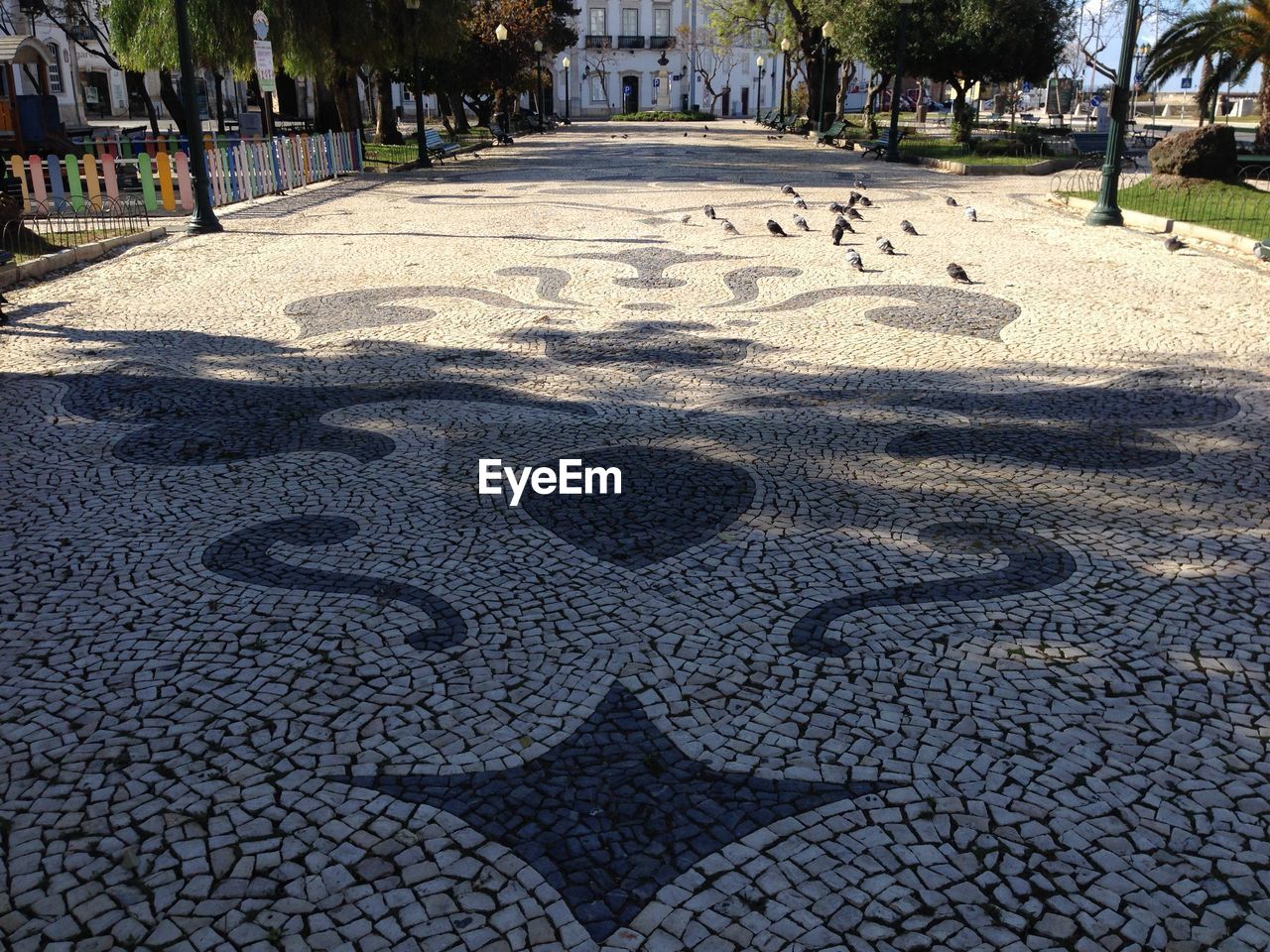 SHADOW OF TREE ON COBBLESTONE