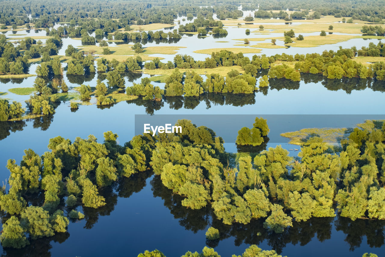 SCENIC VIEW OF LAKE AMIDST TREES