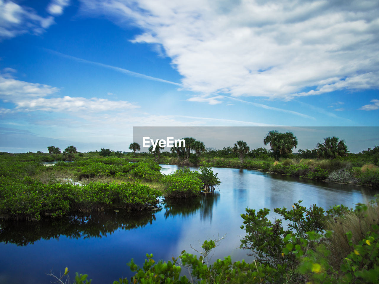 SCENIC VIEW OF LAKE BY TREES AGAINST BLUE SKY
