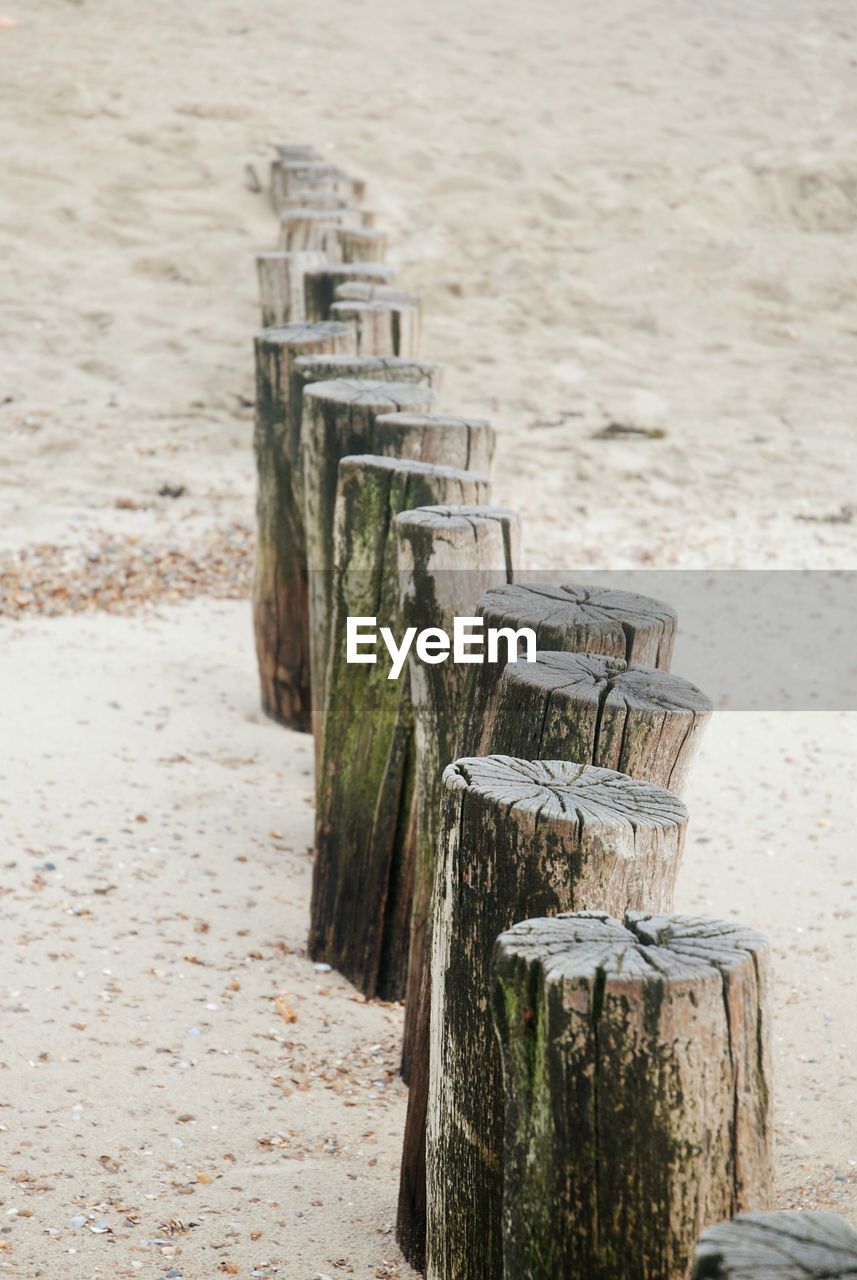 Close-up of wood on sand at beach at the north sea 