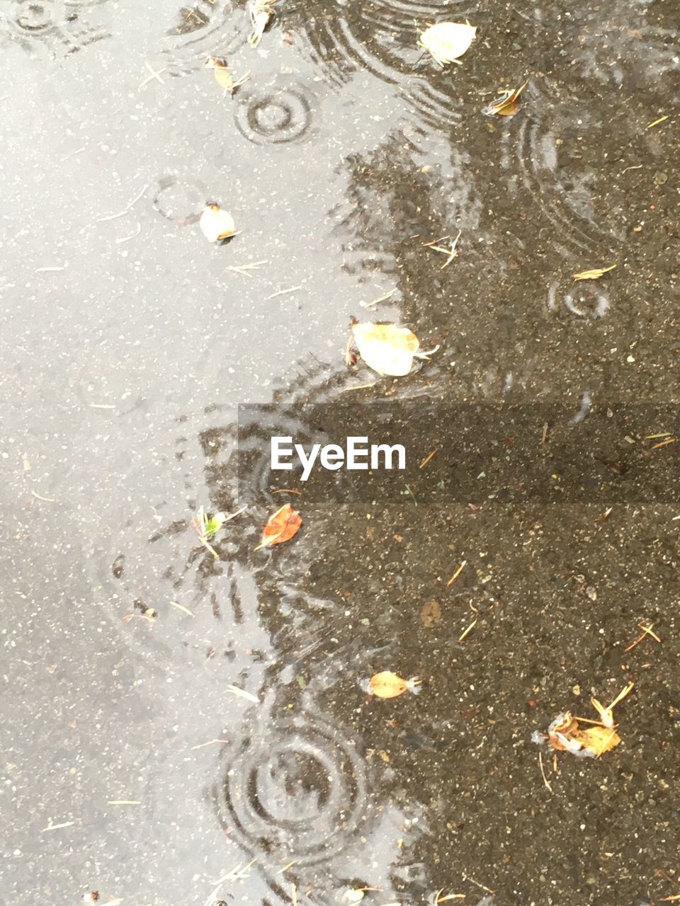 HIGH ANGLE VIEW OF WATER IN SHALLOW