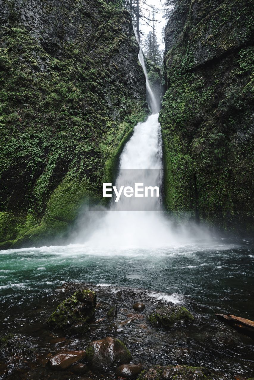 Scenic view of waterfall in forest