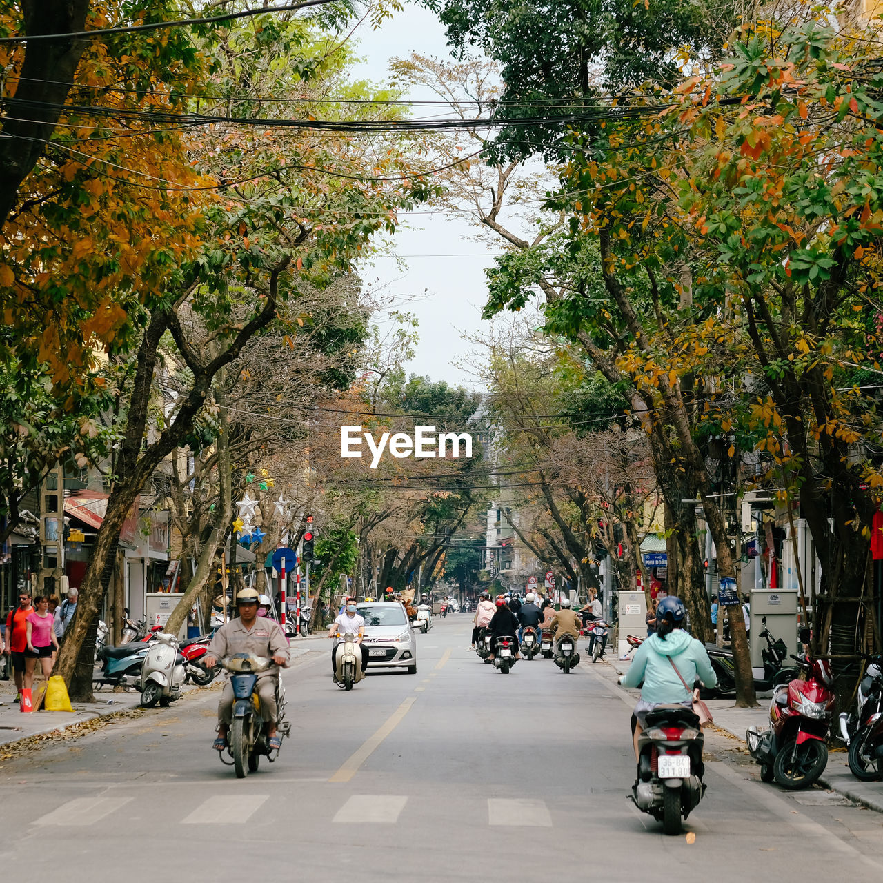 PEOPLE ON ROAD AMIDST TREES IN CITY