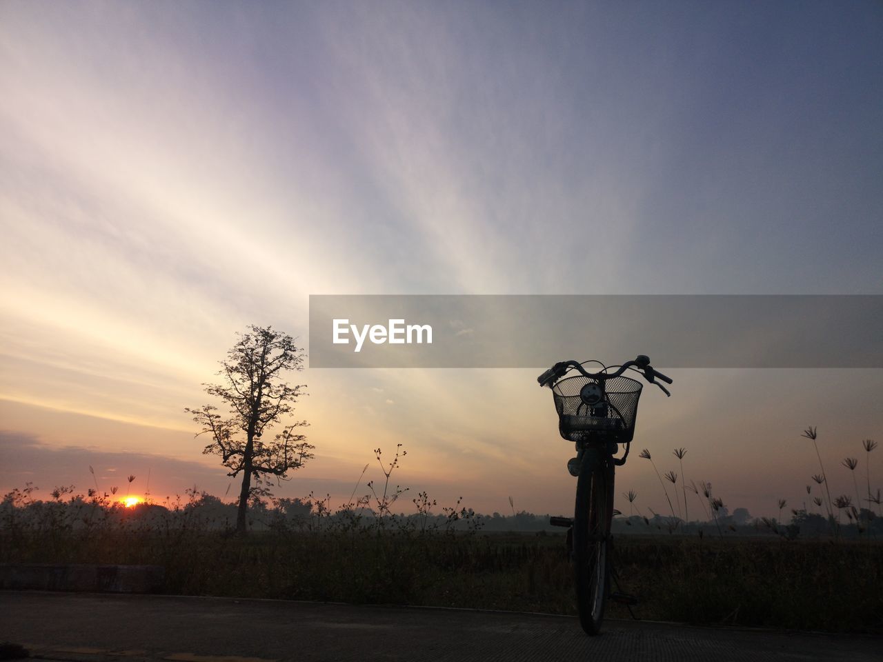 sky, sunset, dawn, evening, horizon, nature, cloud, sunlight, environment, landscape, sun, tree, beauty in nature, plant, no people, scenics - nature, silhouette, tranquility, light, outdoors, land, tranquil scene, afterglow, street light, rural scene, twilight, dramatic sky, field, orange color