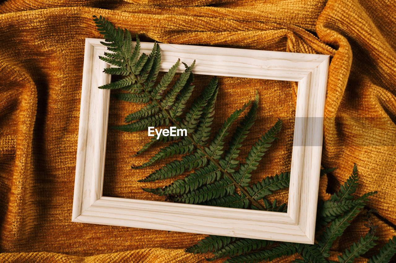 Creative concept of white wood frame with fern branch against golden fabric cloth wave background.