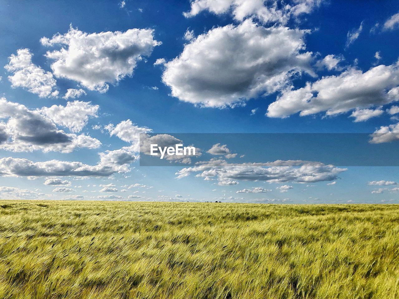 SCENIC VIEW OF FARM AGAINST SKY