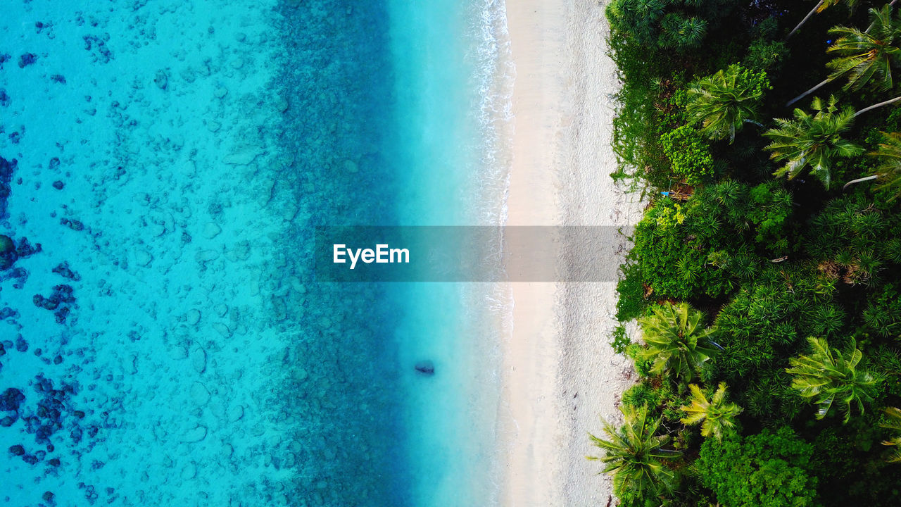 Aerial view of beach