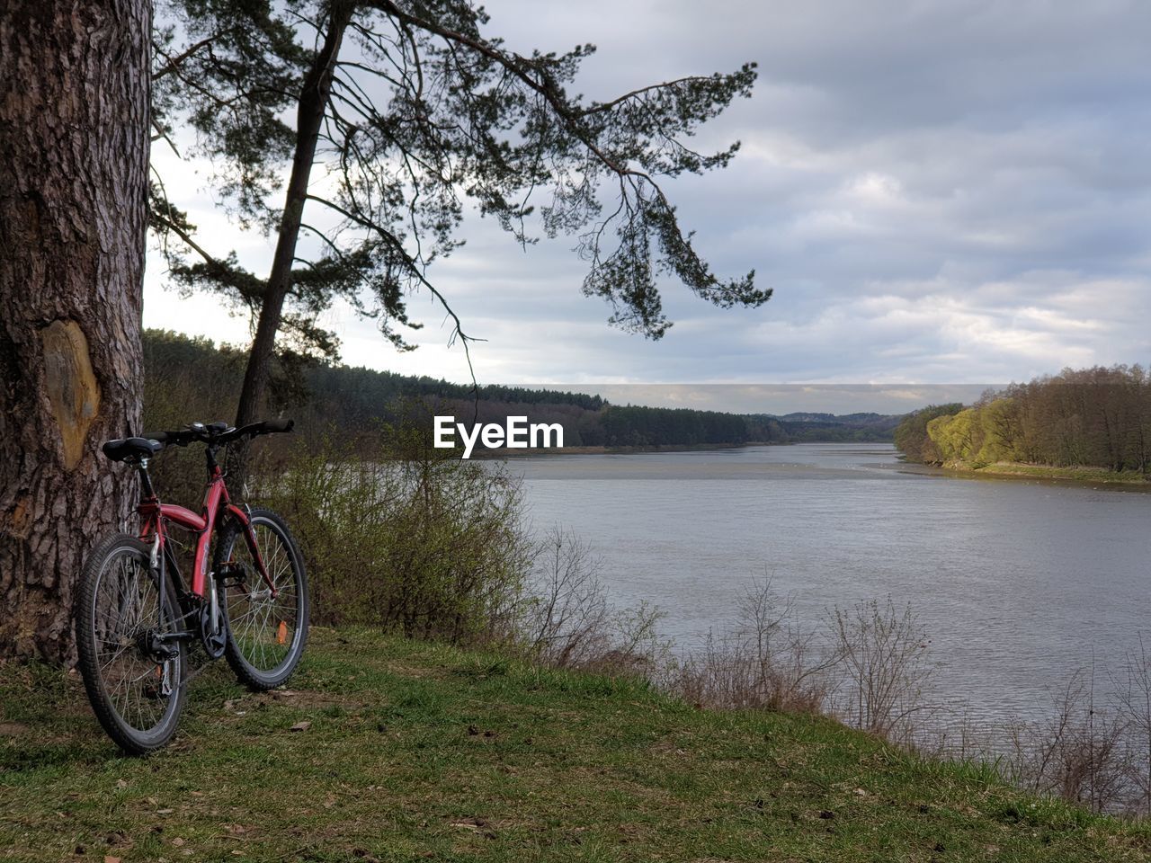 BICYCLE PARKED BY TREE AGAINST SKY