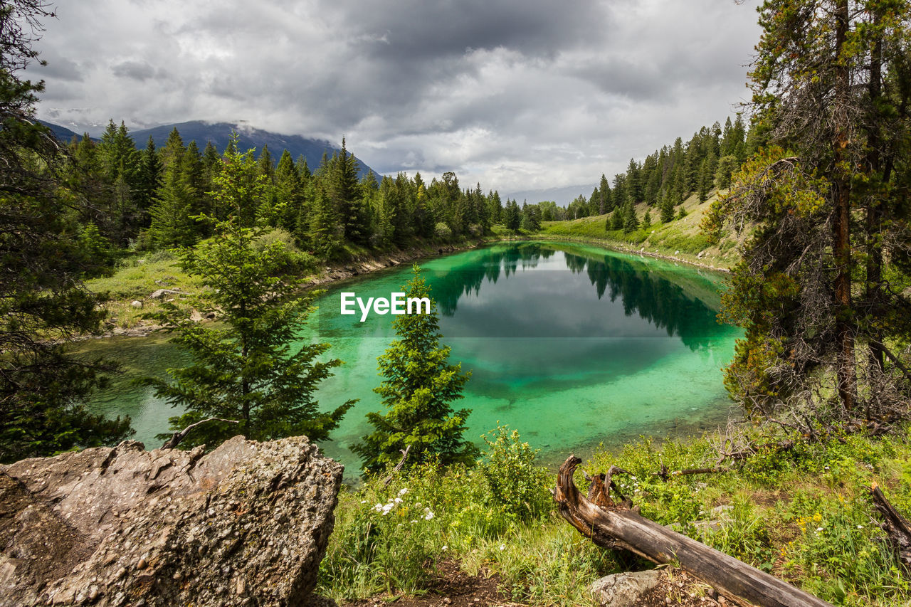 Scenic view of lake amidst trees against cloudy sky at jasper national park