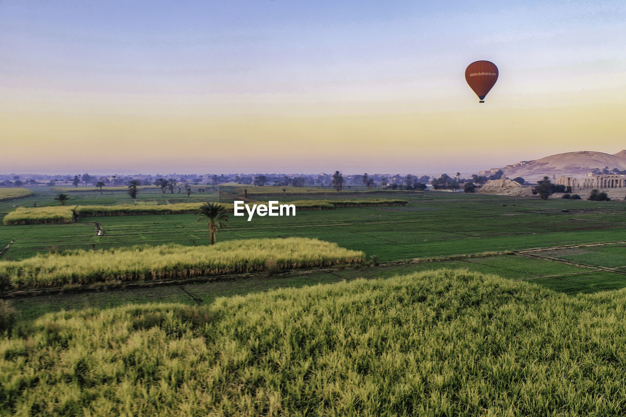 VIEW OF HOT AIR BALLOON FLYING OVER FIELD