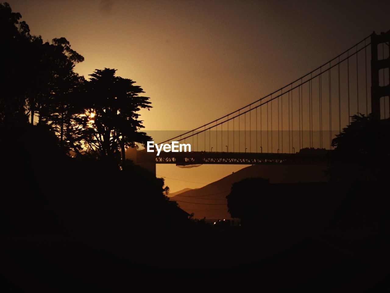 Silhouette trees and golden gate bridge against sky at sunset