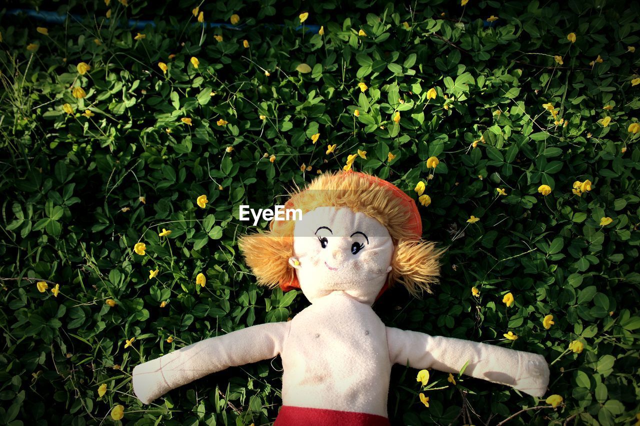 Stuffed toy on plants in park