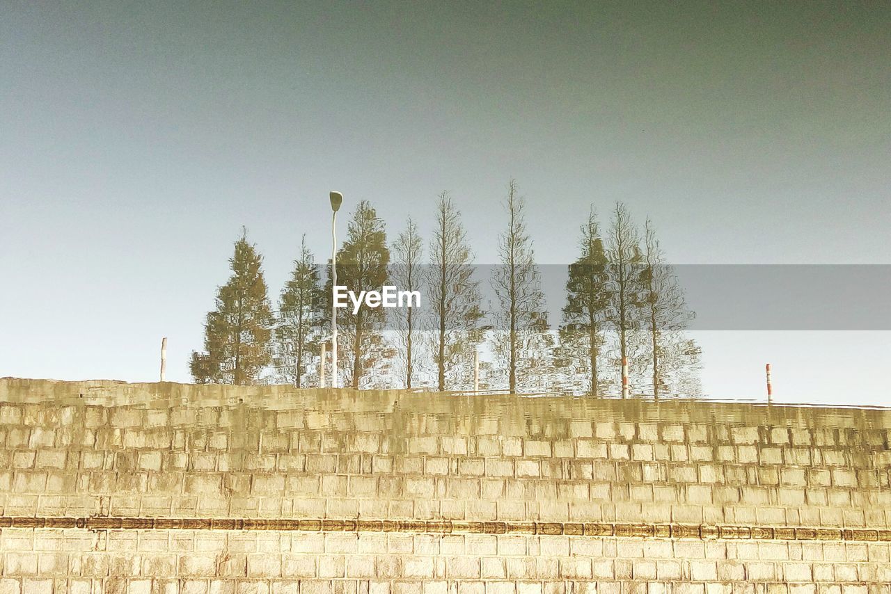 VIEW OF TREES AGAINST SKY