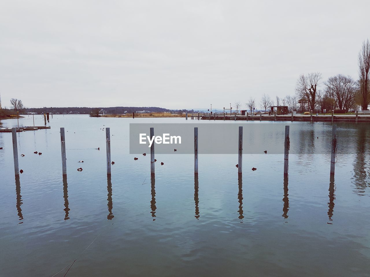 WOODEN POSTS IN LAKE