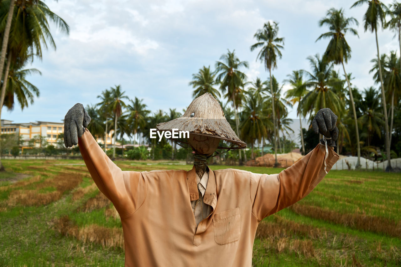 Scarecrow at the paddy fields