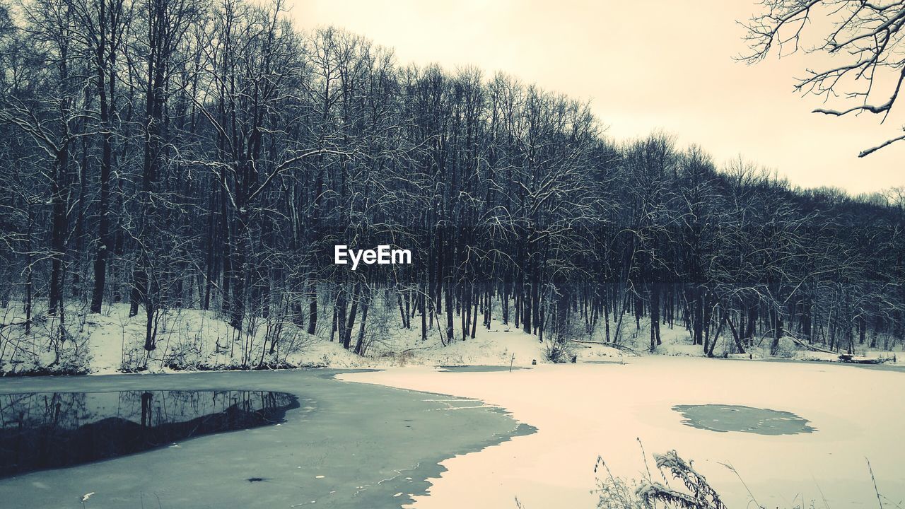 FROZEN TREES ON LANDSCAPE AGAINST SKY