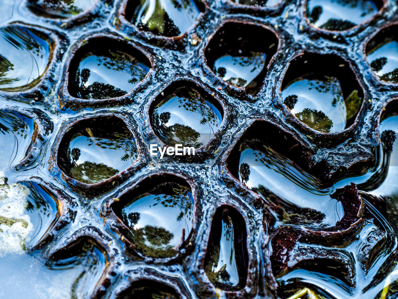 Full frame shot of wet blue metal