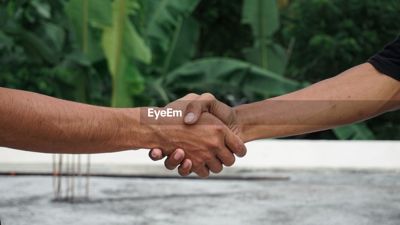 CROPPED IMAGE OF MAN HOLDING HANDS WITH LEAF