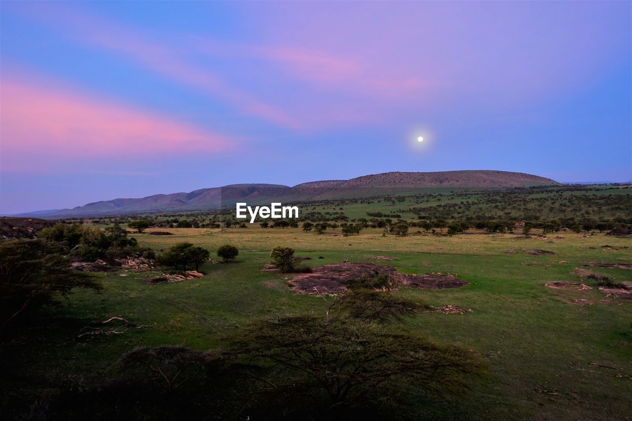 SCENIC VIEW OF FIELD AGAINST SKY AT SUNSET