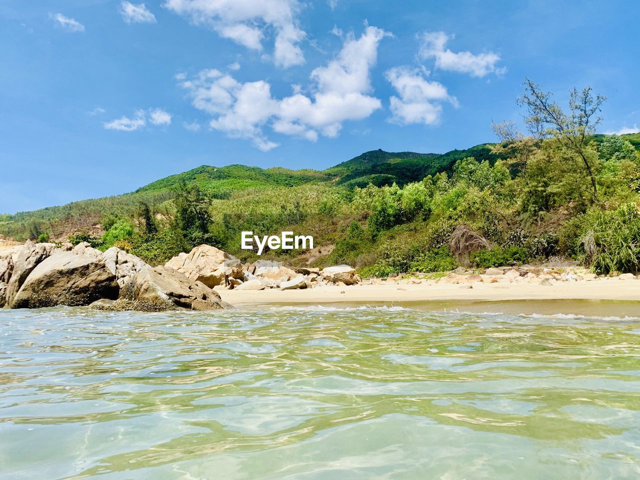 SCENIC VIEW OF SEA AND TREES AGAINST SKY