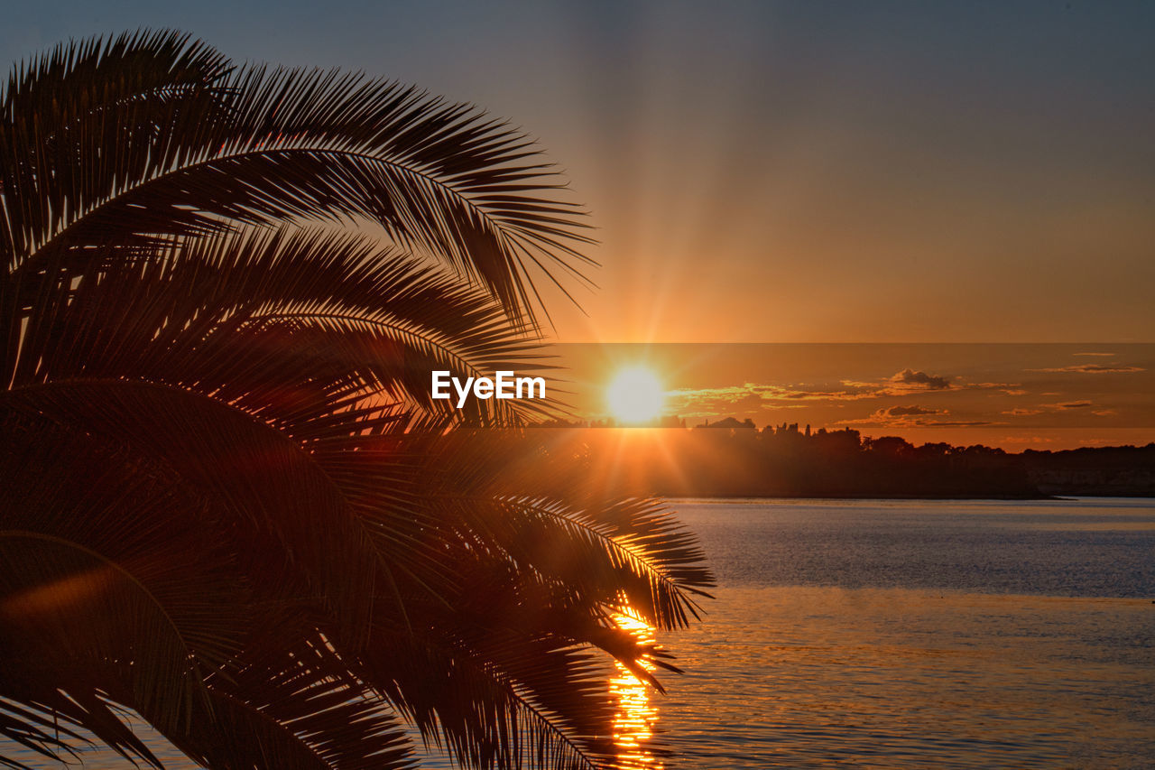 SILHOUETTE PALM TREES BY SEA AGAINST SKY DURING SUNSET