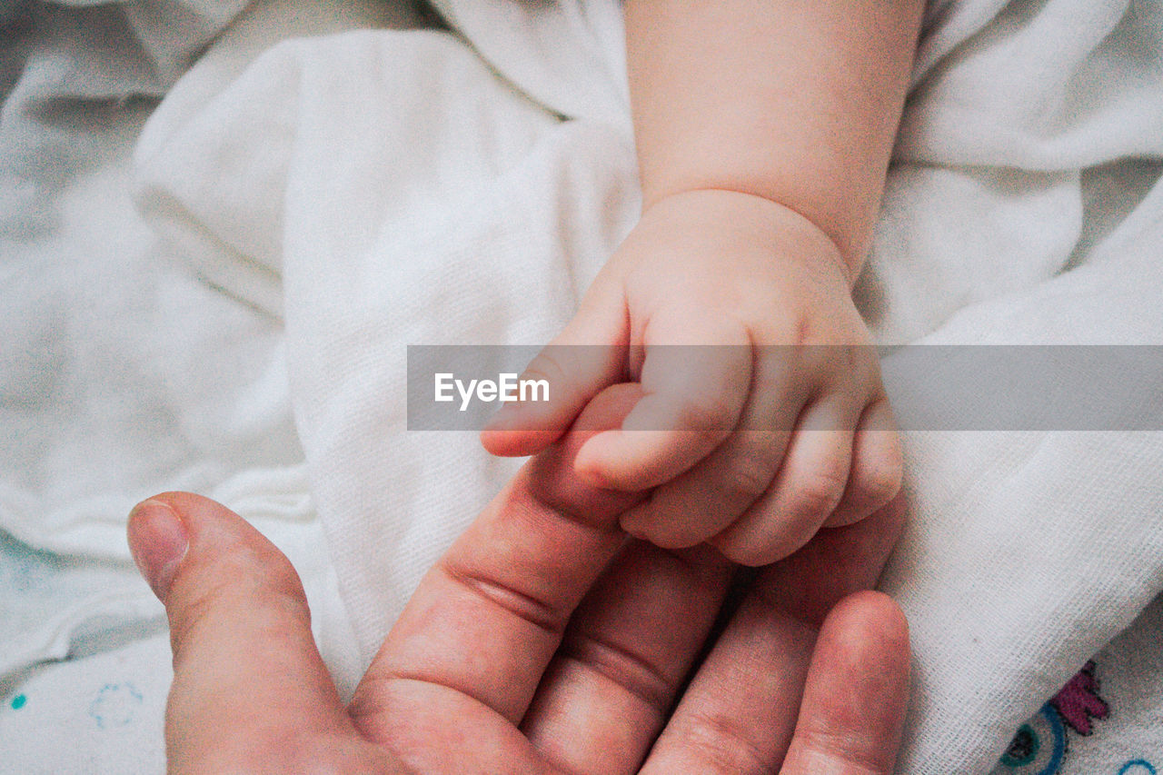 Cropped image of baby holding hand