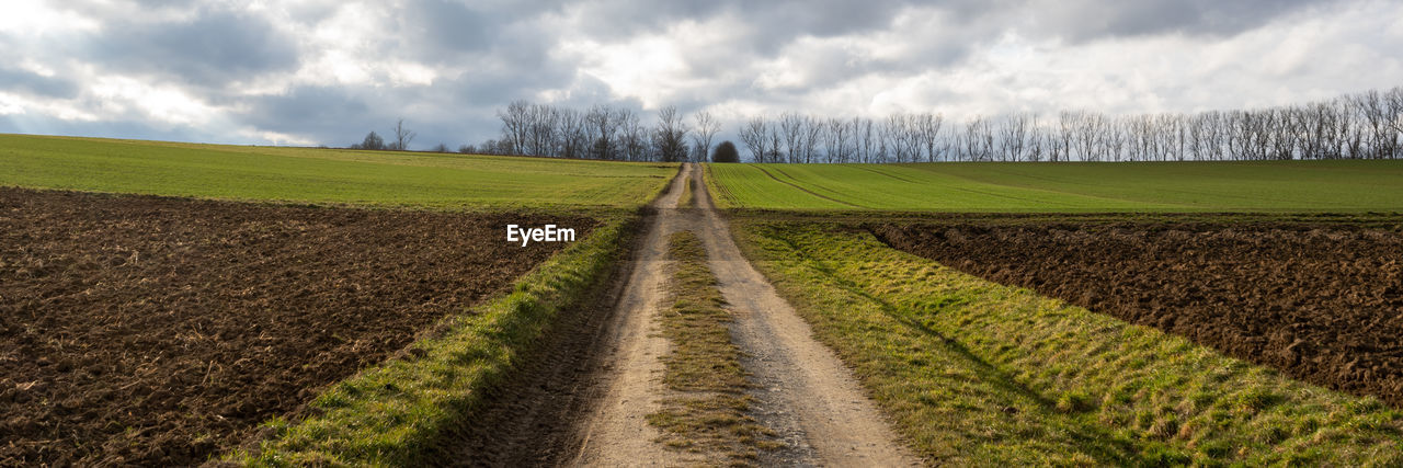 landscape, field, agriculture, environment, land, cloud, sky, soil, plant, rural scene, rural area, crop, nature, grass, prairie, plain, scenics - nature, farm, dirt, cereal plant, grassland, no people, growth, beauty in nature, horizon, hill, tranquility, tree, food, green, road, day, outdoors, diminishing perspective, food and drink, dirt road, corn, tranquil scene, horizon over land, plantation, transportation, vanishing point, the way forward, non-urban scene, cloudscape, meadow