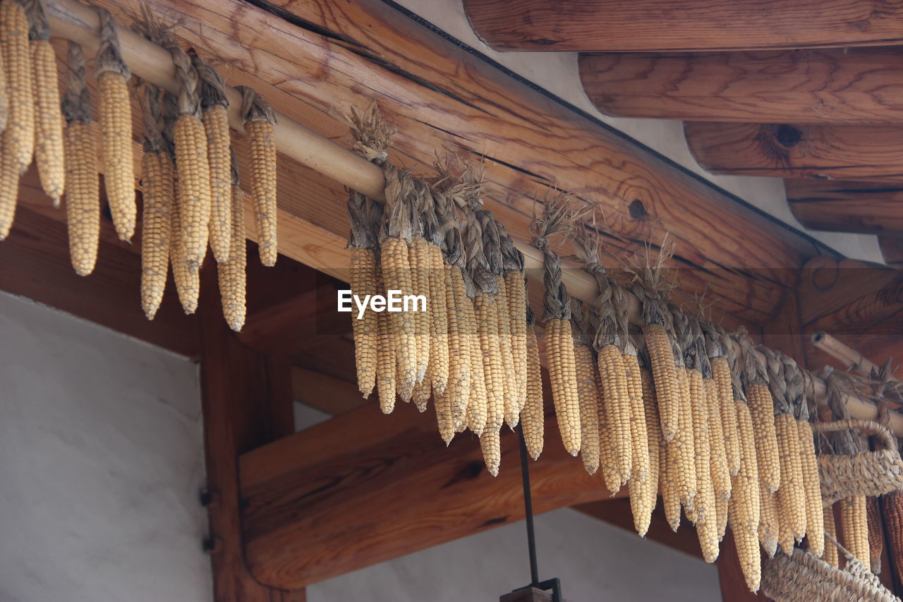 High angle view of corns hanging on roof