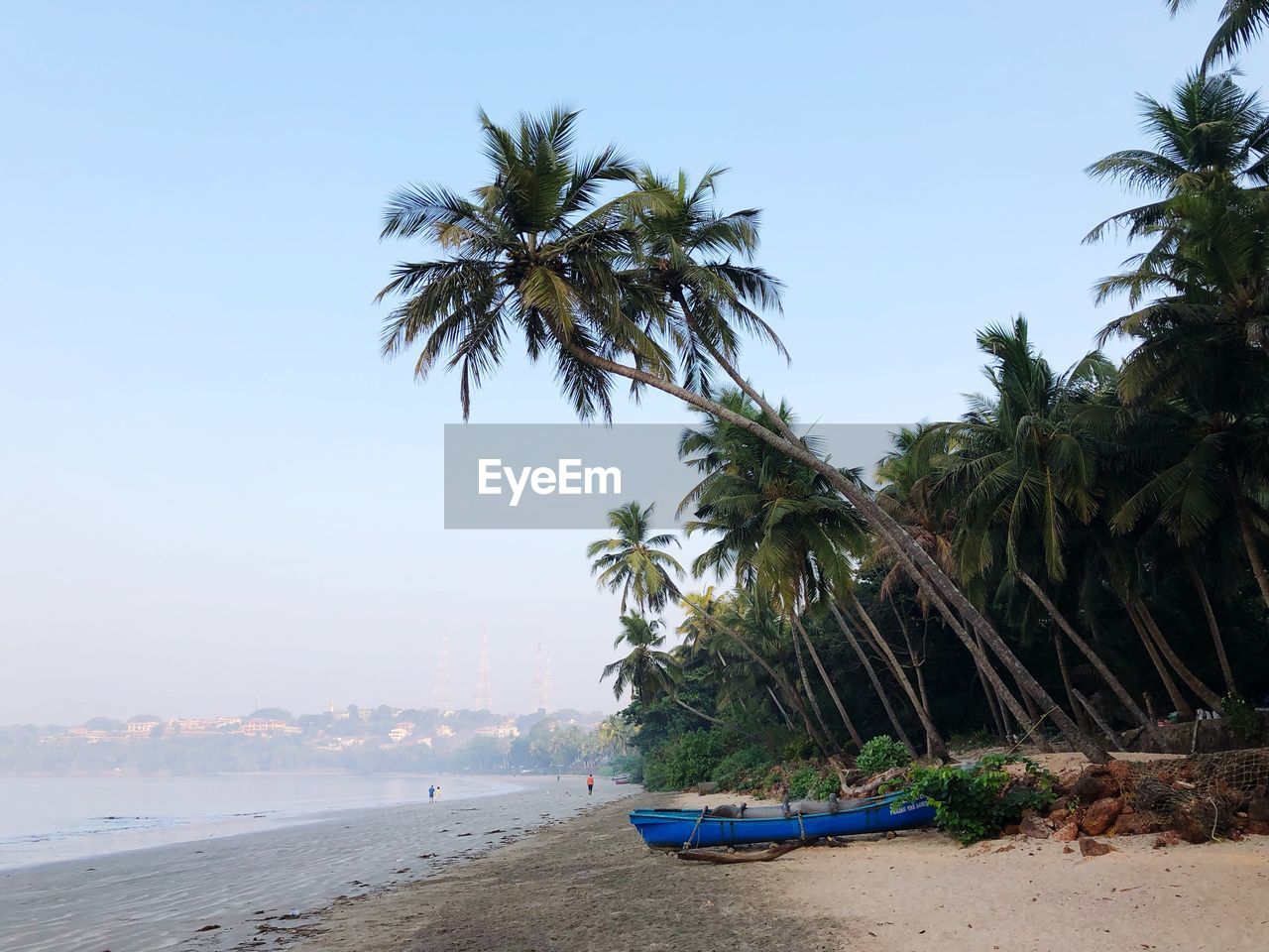 PALM TREES ON BEACH AGAINST SKY