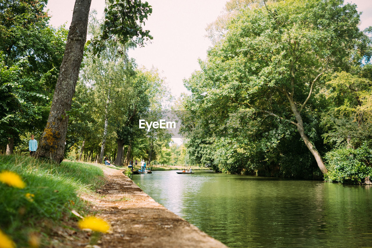 Scenic view of river against sky with trees