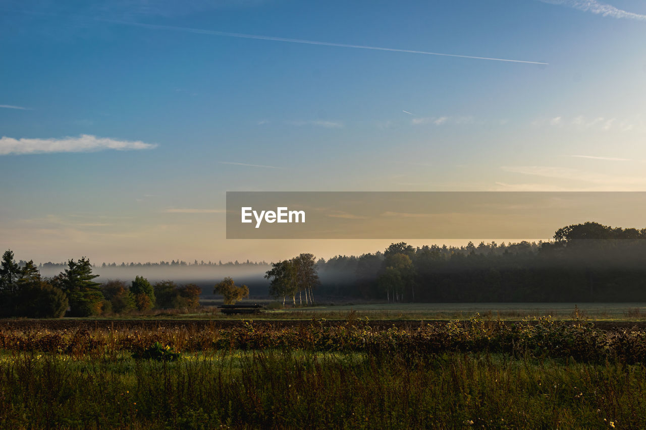 Scenic view of field against sky during sunset