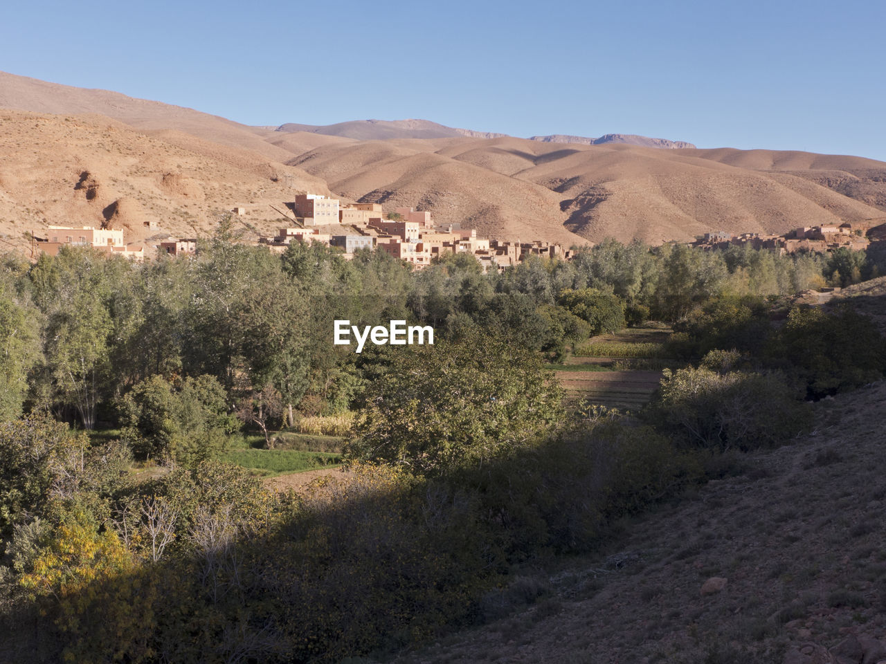 Scenic view of field by mountains against sky