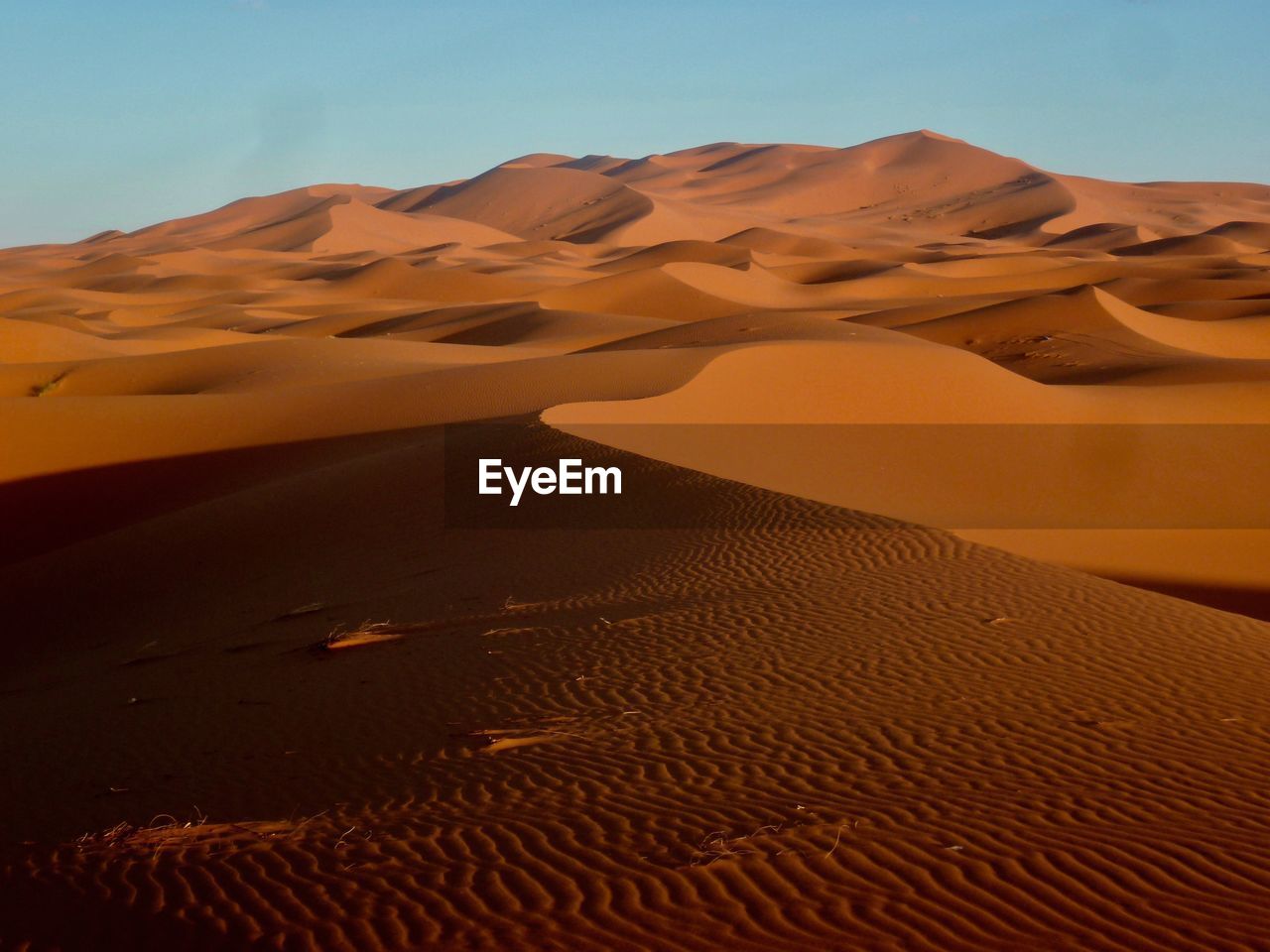 Scenic view of desert against clear sky