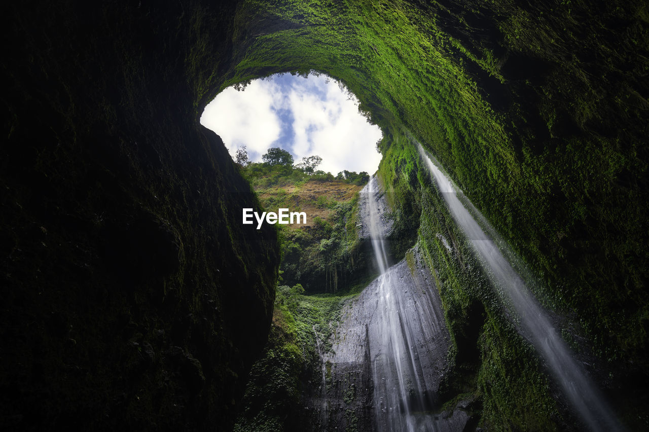 SCENIC VIEW OF WATERFALL THROUGH FOREST