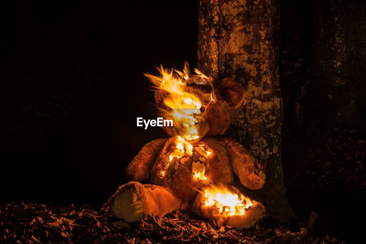 Digital composite image of illuminated abandoned teddy bear against tree trunk