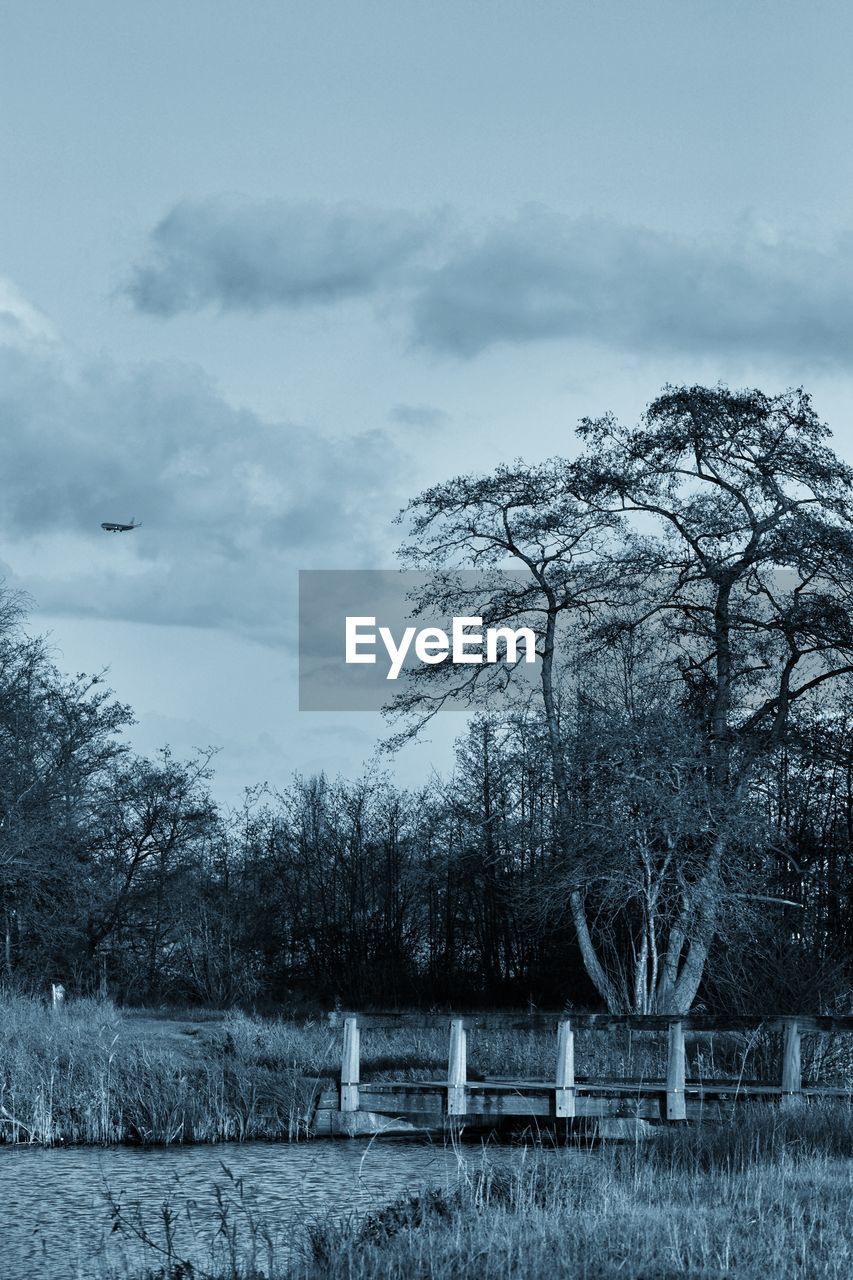 TREES ON FIELD AGAINST CLOUDY SKY