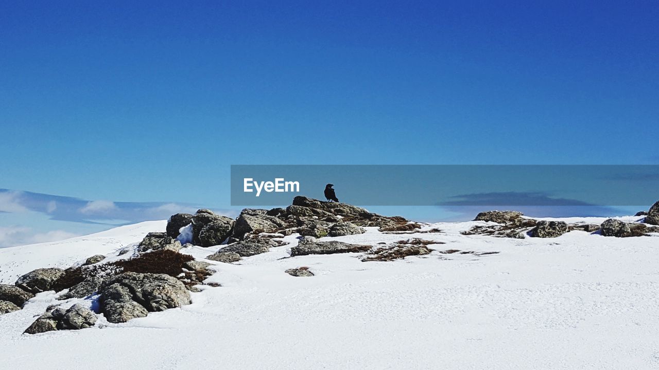 MAN WALKING ON SNOWCAPPED MOUNTAIN AGAINST CLEAR BLUE SKY