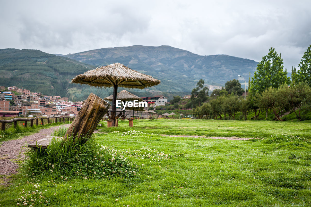 Wooden chair near grass and city background