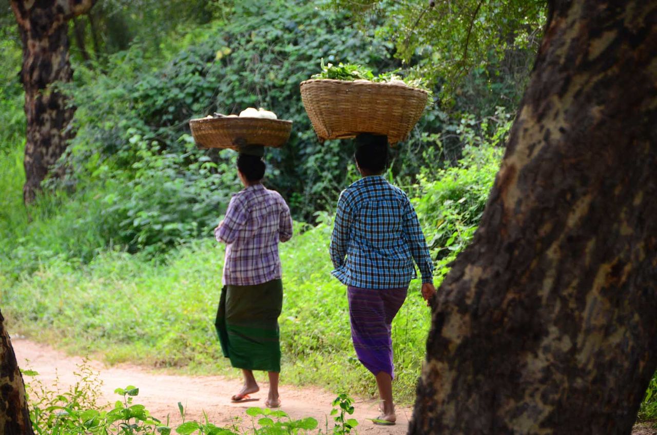 Rear view of women walking with baskets on head