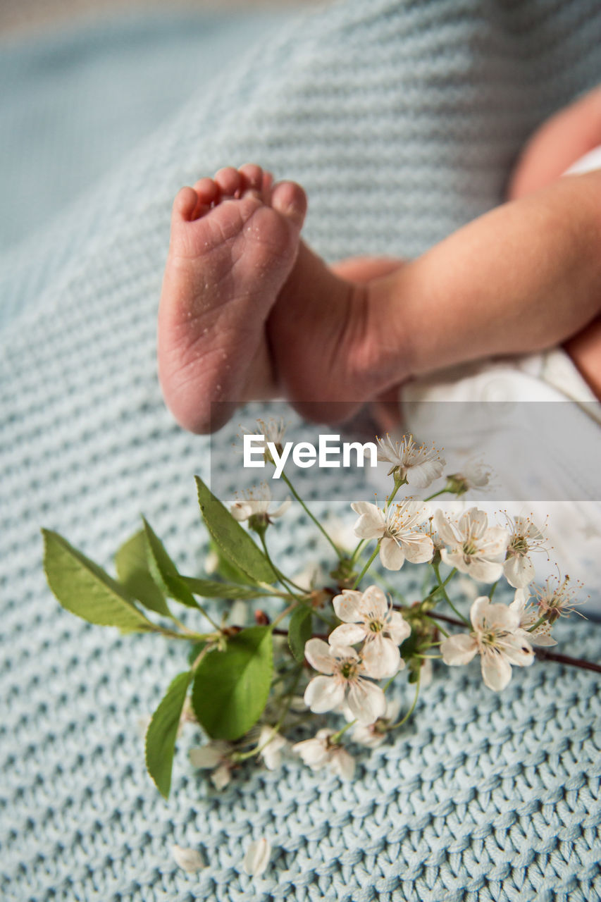 Newborn baby legs near flowers 